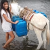 Jacob Niemeier Catholic Speaker - Teenage Girl Adeline in Peru getting dirty water from River